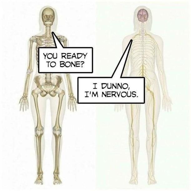 i YOU READY TO BONE? I DUNNO, NERVOUS.