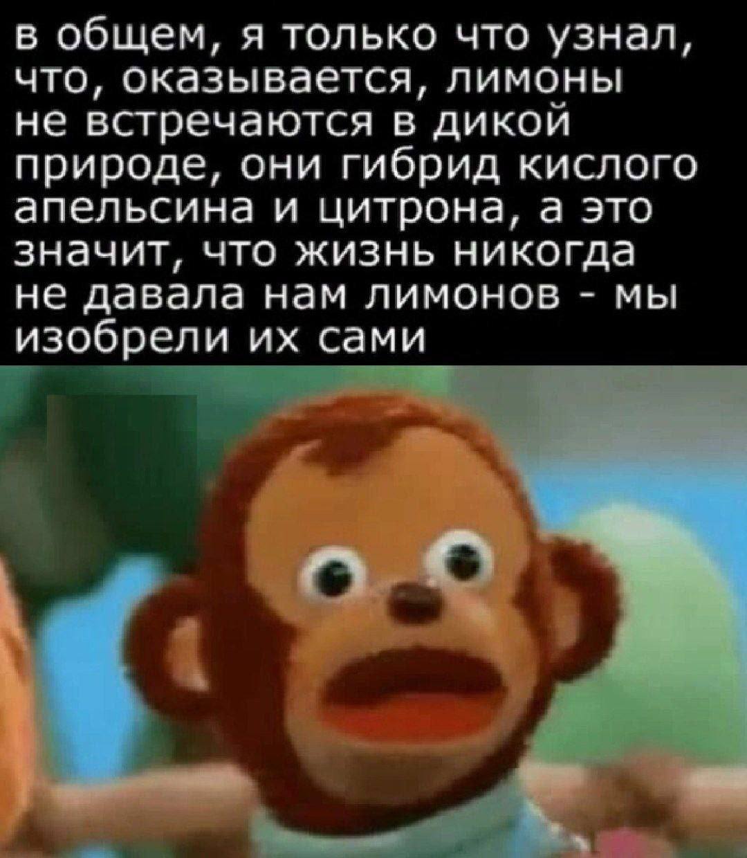 в общем, я только что узнал, что, оказывается, лимоны не встречаются в дикой природе, они гибрид кислого апельсина и цитрона, а это значит, что жизнь никогда не давала нам лимонов мы изобрели сами