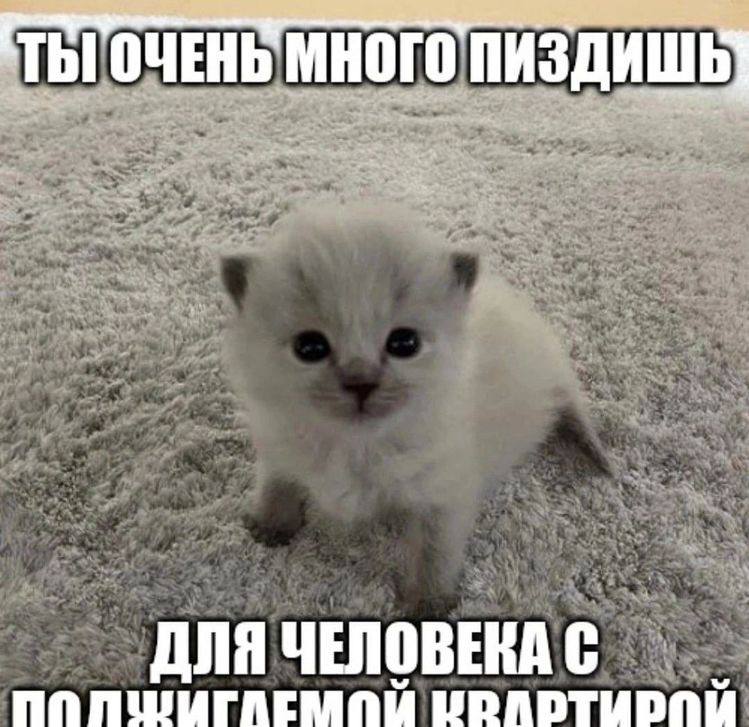МНОГО ПИЗДИШЬ my, mee я ДЛЯ ЧЕЛОВЕНА С