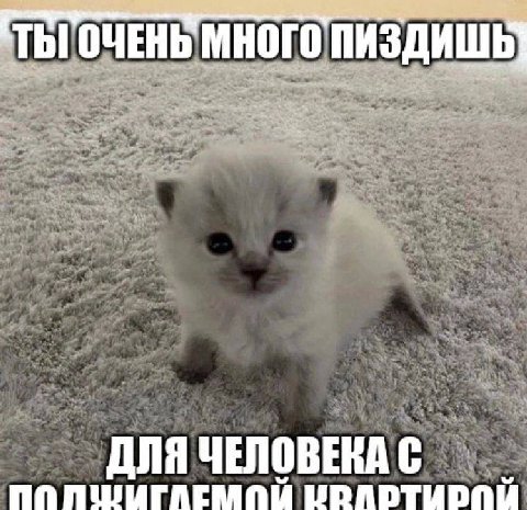 МНОГО ПИЗДИШЬ my, mee я ДЛЯ ЧЕЛОВЕНА С