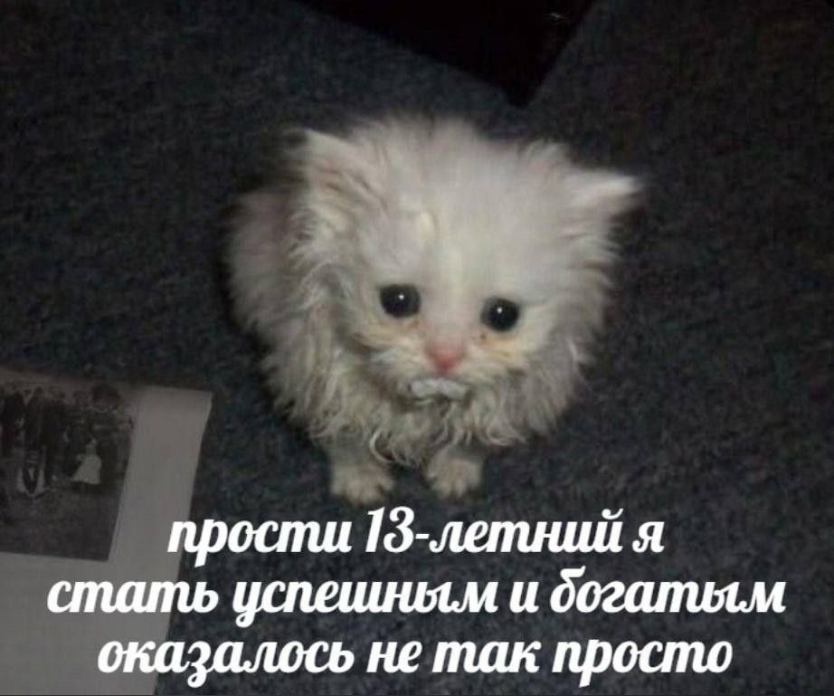 прости 13-летний я стать и оказалось не так просто