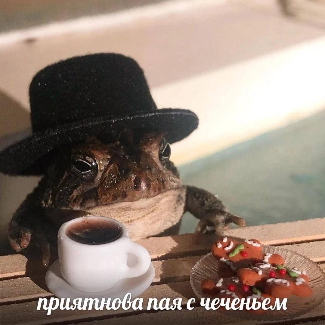 приятнова пая с чеченьем