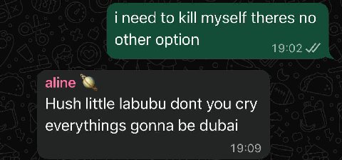 i need to kill myself theres no other option 19:02 aline Hush little labubu dont you cry everythings gonna be аира!