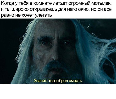 Когда у тебя в комнате летает огромный и ты широко открываешь для него окно, но он все равно не хочет улетать iff Я 4 Значит, ты выбрал смерть