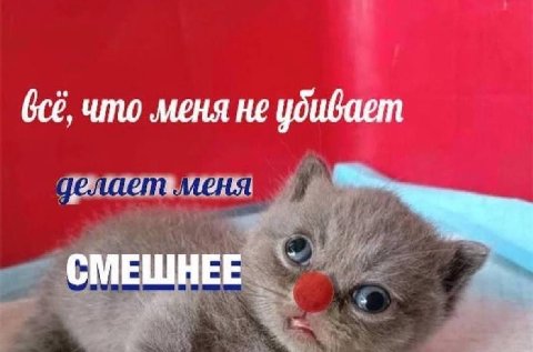 что меня не убивает СМЕШНЕЕ`