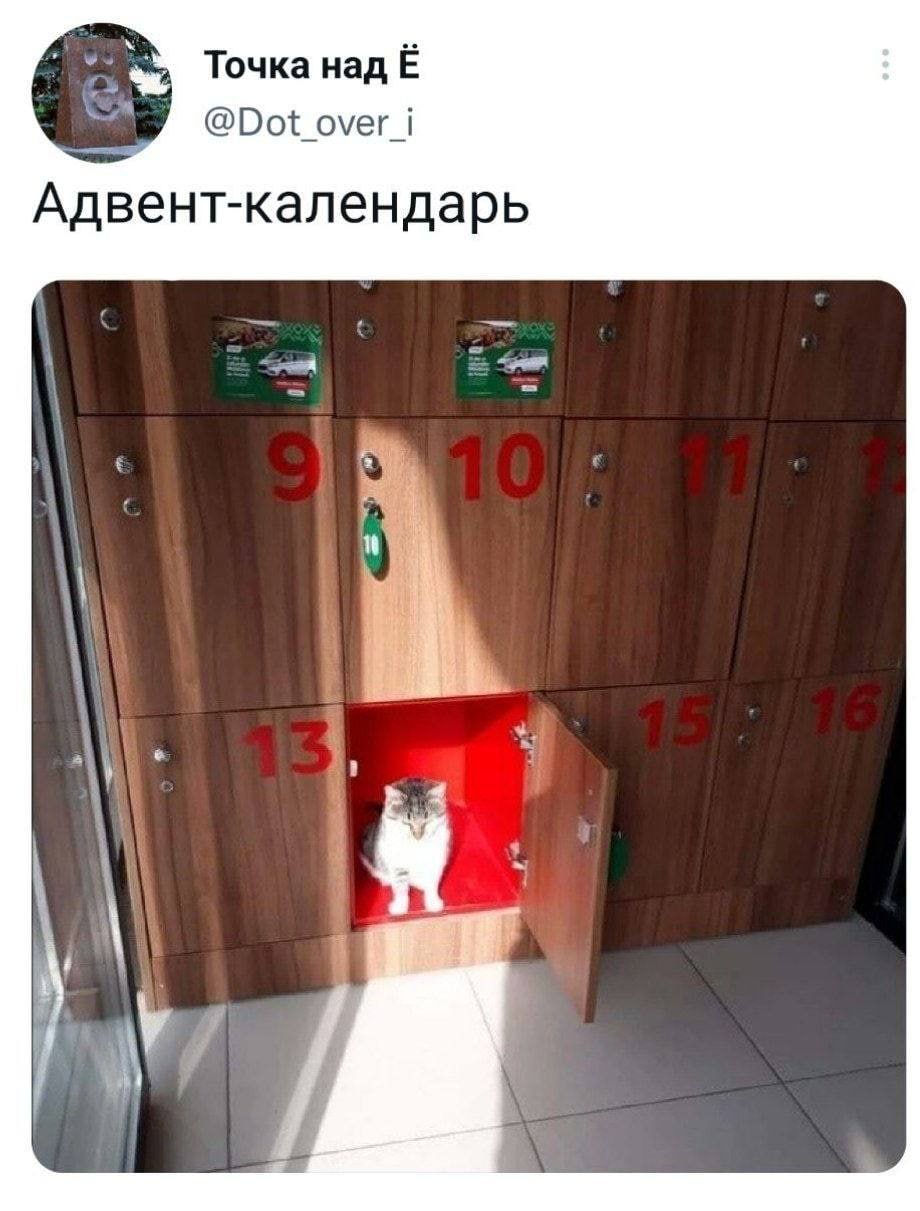 Точка над @Dot_over_i Адвент-календарь