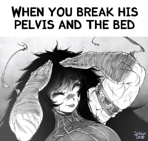 WHEN YOU BREAK HIS PELVIS AND THE BED Wor