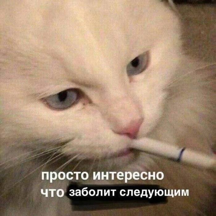 просто интересно ЧТО заболит следующим