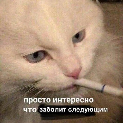 просто интересно ЧТО заболит следующим