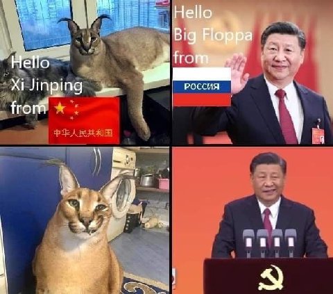 Hello 3 Jinping россия