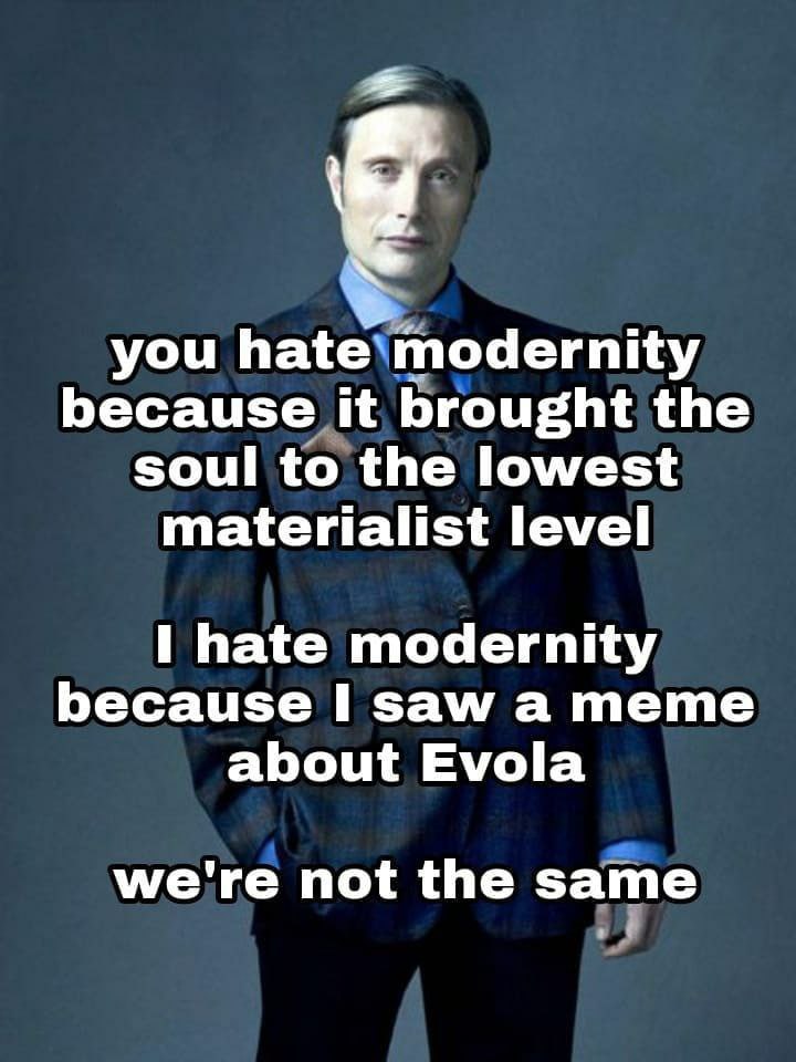 you hate modernity because it brought the soul to the lowest materialist level hate modernity because 1 saw а meme about Evola we're not the same