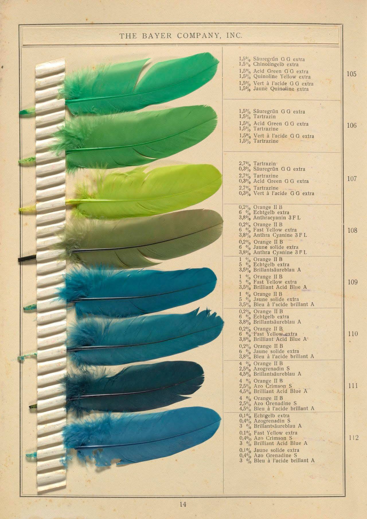THE BAYER COMPANY, INC. 1,5% extra 1,5% Chinolingelb extra 15% Acid Green extra 105 1,5% Quinoline Yellow extra 1,5% Vert a extra 1,5% Jauné Quinoline extra 1,5% extra 15% Tartrazin 1,5% Acid Green ex