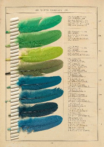 THE BAYER COMPANY, INC. 1,5% extra 1,5% Chinolingelb extra 15% Acid Green extra 105 1,5% Quinoline Yellow extra 1,5% Vert a extra 1,5% Jauné Quinoline extra 1,5% extra 15% Tartrazin 1,5% Acid Green ex