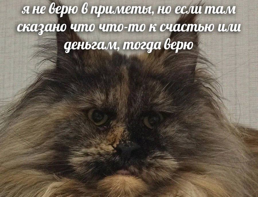 я не верю 6 примепия, но если там сказано что что-то к счастью или деньгам, тогда верю