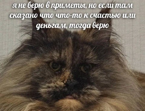я не верю 6 примепия, но если там сказано что что-то к счастью или деньгам, тогда верю