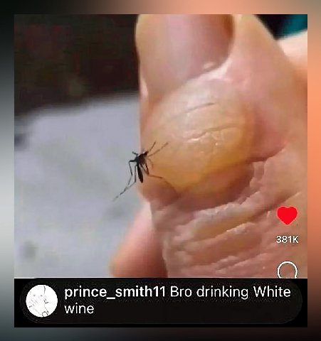 Вго drinking White wine