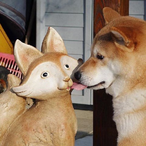 11 4 у и