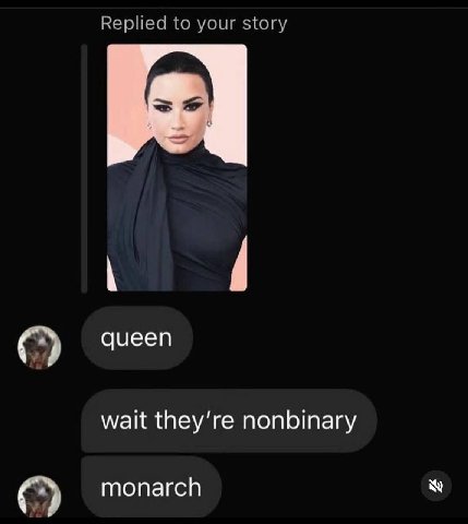 Replied to your story ачееп wait they're nonbinary monarch