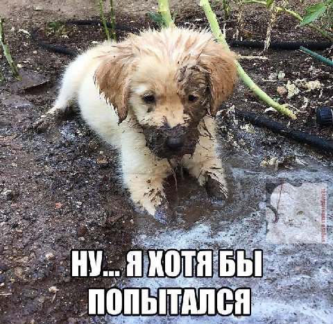 £33 4: 46 38 ery; $2 ESS я tes. 2 НУ нии С