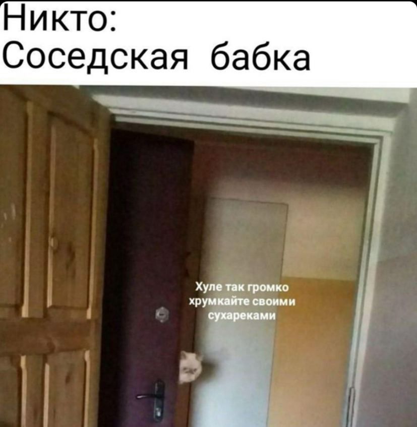 Никто: Соседская бабка Хуле так громко хрумкайте своими сухареками a