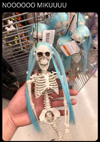 NOOOOOO MIKUUUU А 7