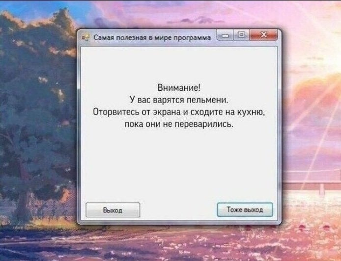 Самая полезная в мире программа Внимание! У вас варятся пельмени Оторвитесь от экрана и сходите на кухню пока они не переварились Выход