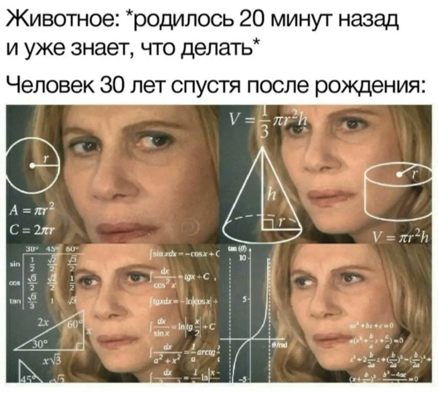 Животное: 20 минут назад и уже знает, что Человек 30 лет спустя после рождения: 4 a