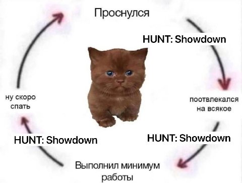 Проснулся НИМТ: ну скоро спать поотвлекался на всякое HUNT: Showdown HUNT: Showdown Выполнил минимум работы