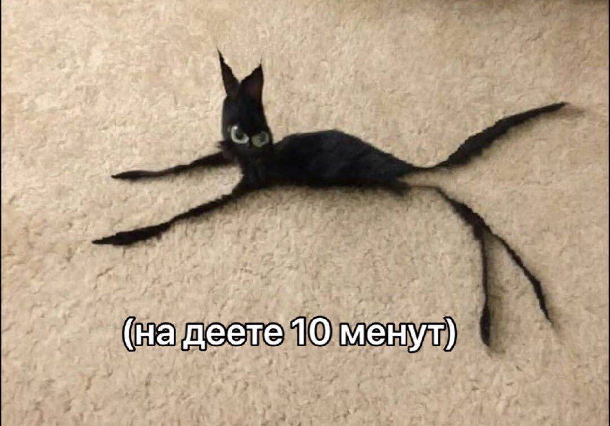 4: wer? is У, 5 ral 1$ деете 10 менут)