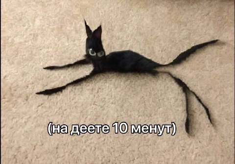 4: wer? is У, 5 ral 1$ деете 10 менут)