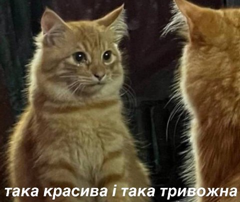 така красива i Taka тривожна