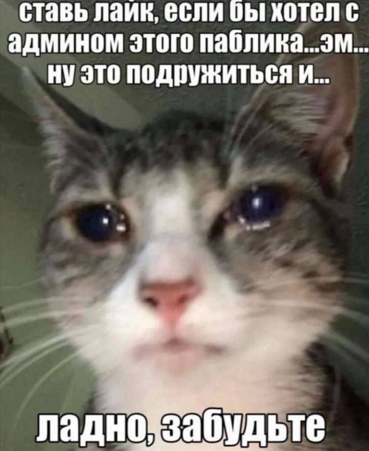 ставь лаик, если бы хотел админом этого паблика...эм... это подружиться И... ладно забудьте