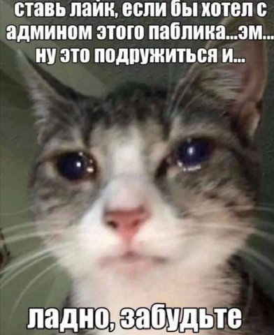 ставь лаик, если бы хотел админом этого паблика...эм... это подружиться И... ладно забудьте