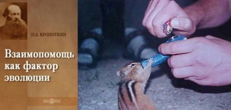 Взаимопомощь как фактор ЭВОЛЮЦИИ
