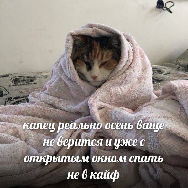 капец реально осень не верится и уже с окном спать не 6 кайф