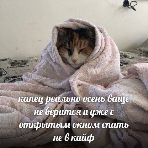 капец реально осень не верится и уже с окном спать не 6 кайф