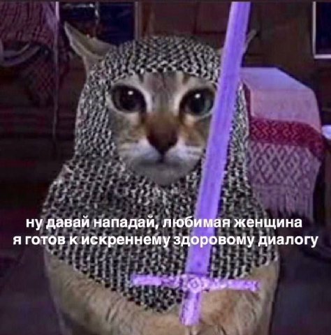 ну давай нападай, любимая женщина я готов к искреннему здоровому диалогу