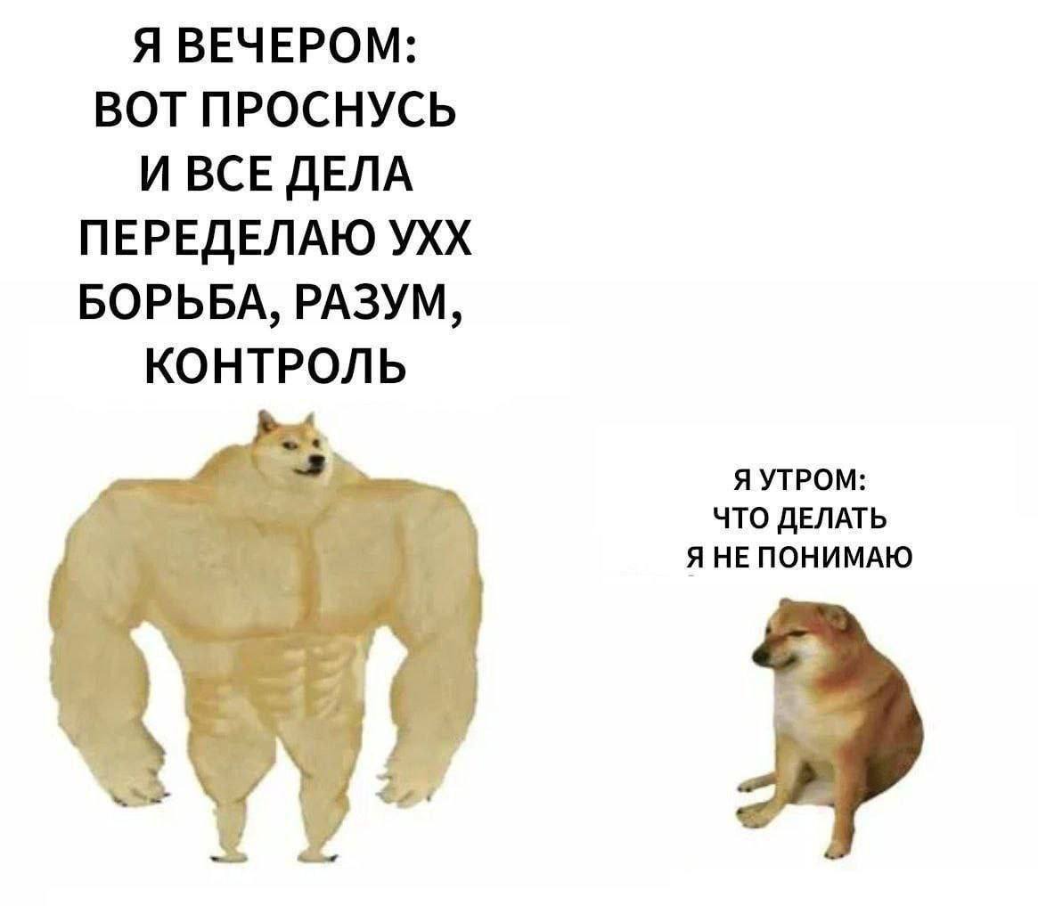 Я ВЕЧЕРОМ: ВОТ ПРОСНУСЬ И ВСЕ ДЕЛА ПЕРЕДЕЛАЮ УХХ БОРЬБА, РАЗУМ, КОНТРОЛЬ Я УТРОМ: ЧТО ДЕЛАТЬ Я НЕПОНИМАЮ