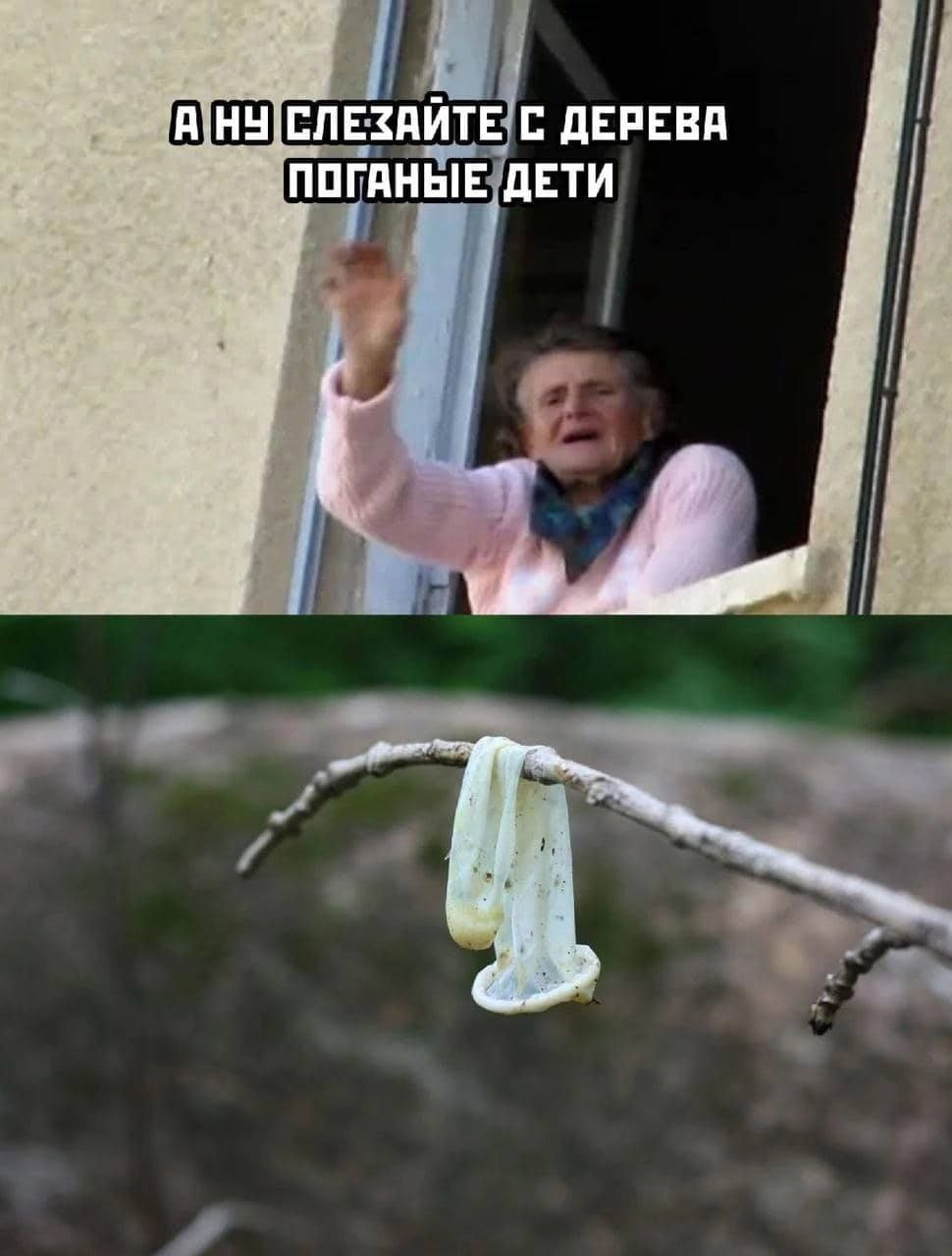 СЛЕЗАЙТЕ! С ДЕРЕВА ПОГАНЫЕ ДЕТИ \4