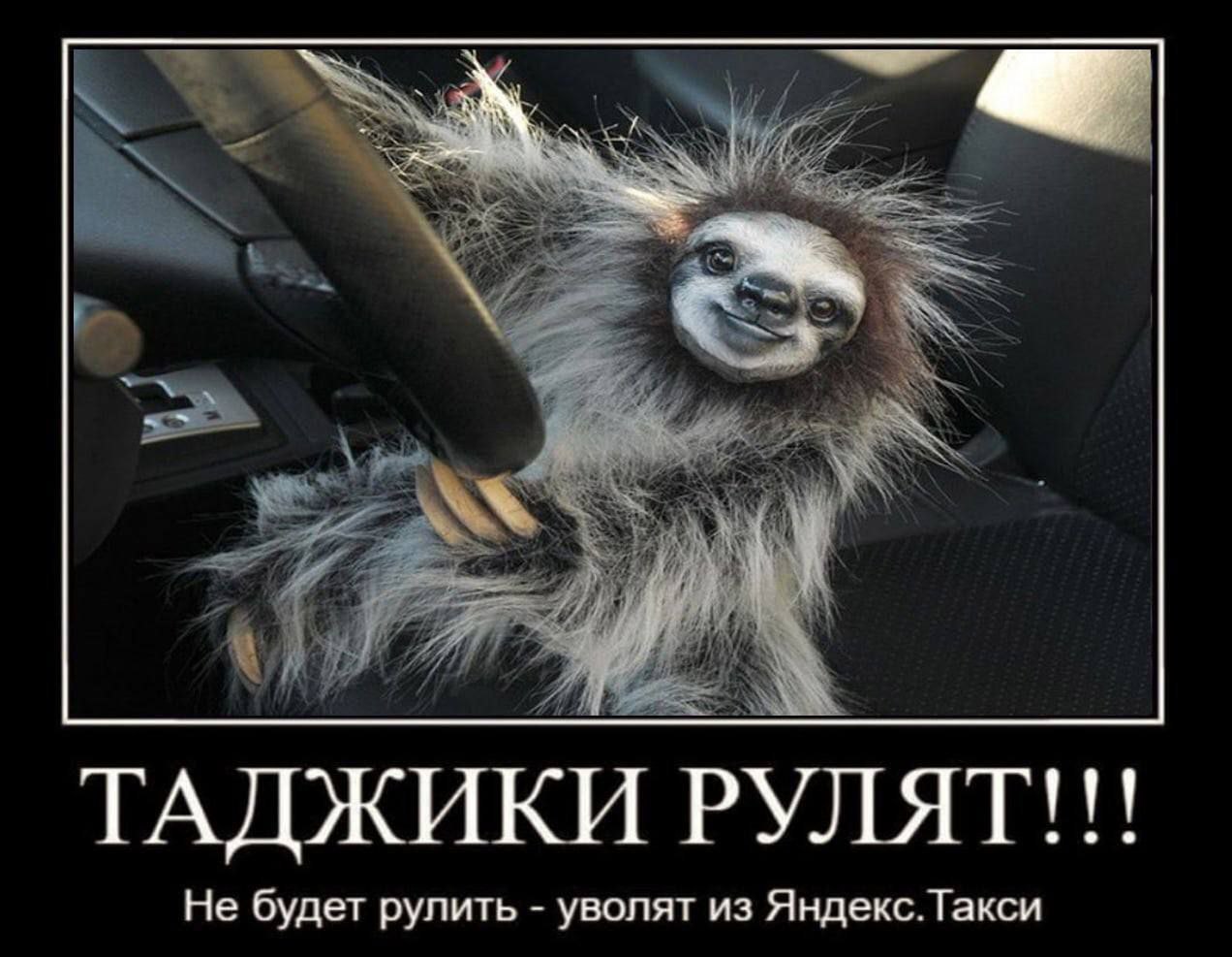 ТАДЖИКИ РУЛЯТ!!! Не будет рулить уволят из Яндекс.Такси