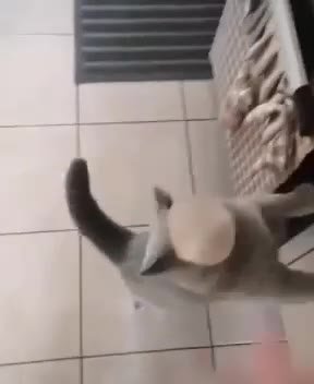 я == / i » р | ’ _—