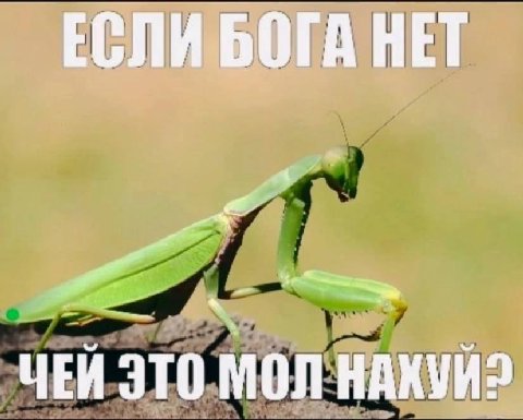 ЕСЛИ БОГА НЕТ ЧЕЙ ЭТО МОЛ