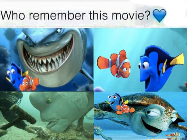 Who remember this movie?