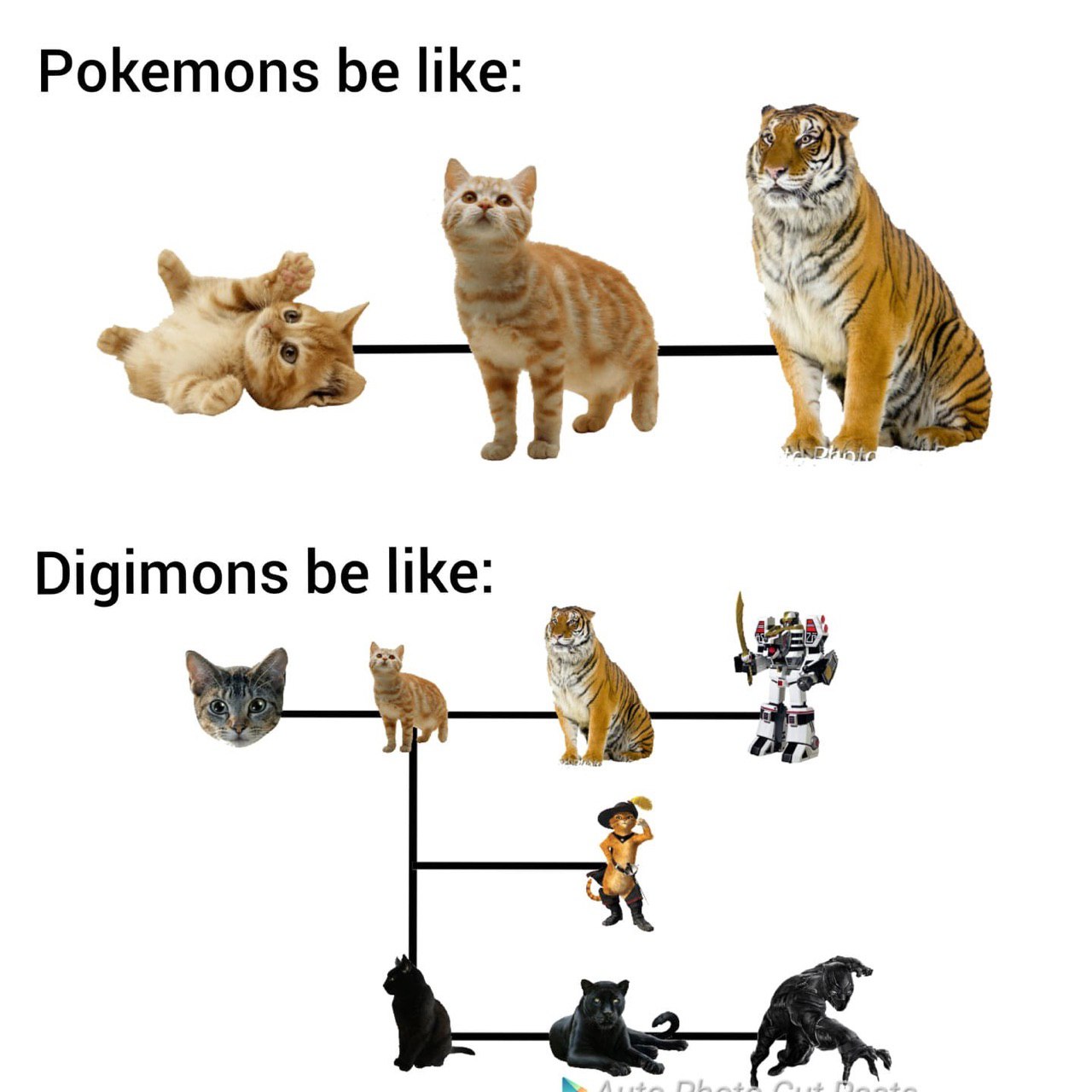 Pokemons be like: Digimons be А.
