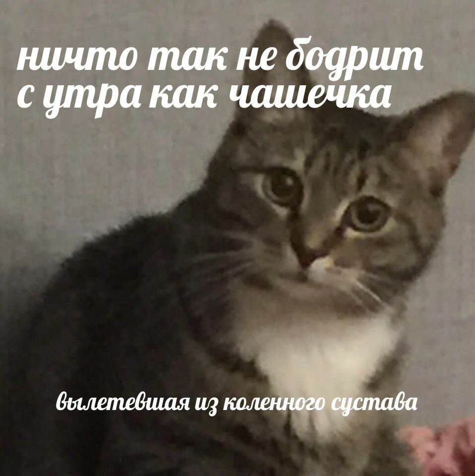 ничто так не бодрит сутра как чашечка былетевшая из коленного сустава