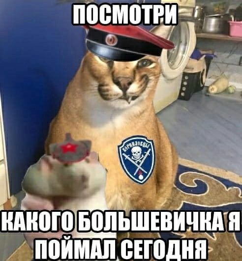 КАКОГО Я ПОИМАЛ СЕГОДНЯ.
