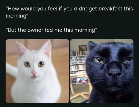 ‘How would you feel if you didnt get breakfast this ‘But the owner fed me this morning” 6