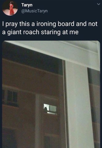 Тагуп pray this а ironing board and not a giant roach staring at me