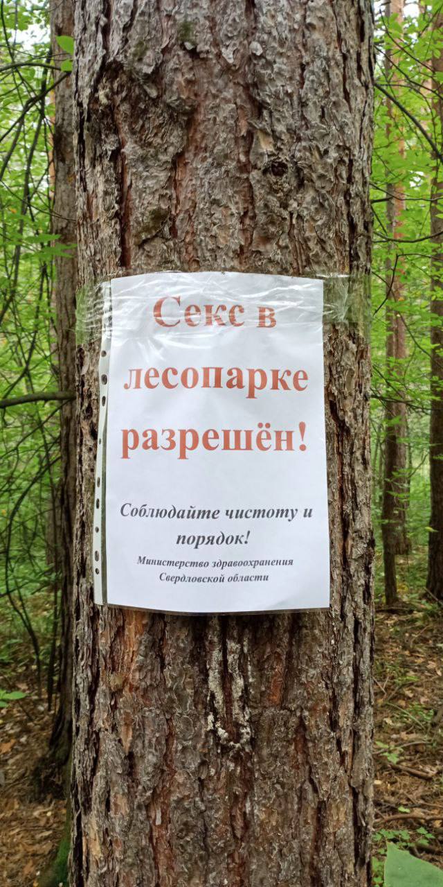 Сокс лесопарке разрешён! “if Соблюдайте чистоту и порядок! Министерство здравоохранения Свердловской области