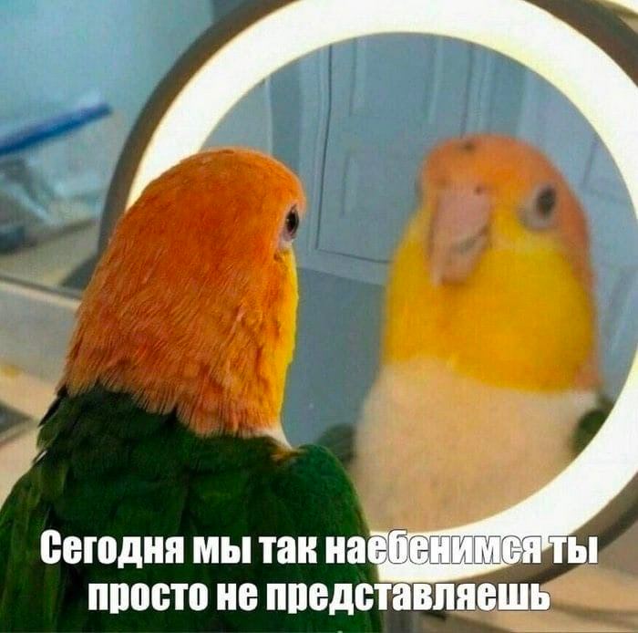 Сегодня мы так просто не представляешь